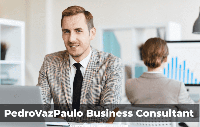 Maximizing Profitability and Efficiency: The Pedrovazpaulo Business Consultant Approach